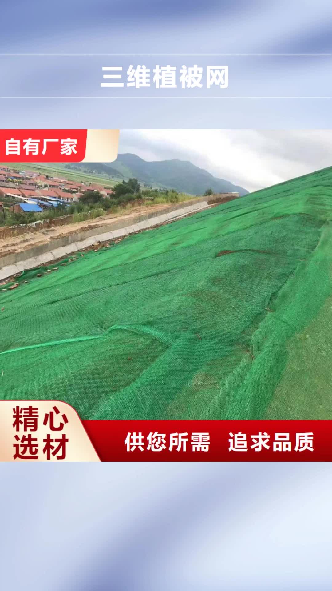 宣城【三维植被网】养护土工布量大更优惠