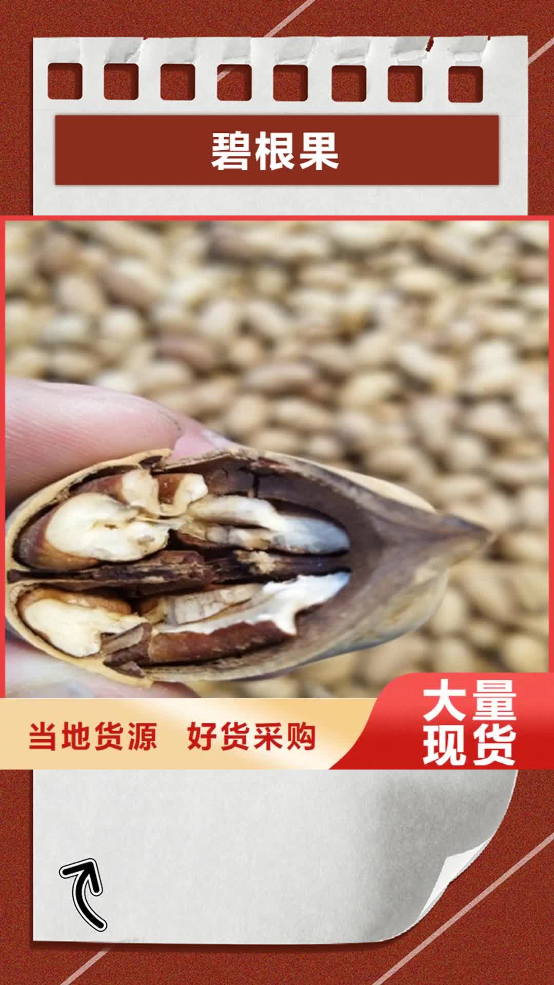 中山 碧根果,【樱桃苗】支持加工定制